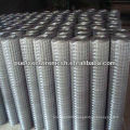 wall Electric Galvanized welded wire mesh